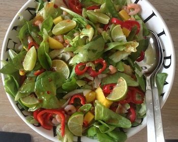 Garnalen mango salade
