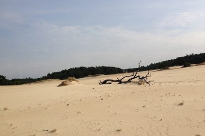 Zandverstuiving-Veluwe