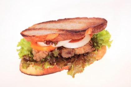 Bijzondere-hamburger-tonijn