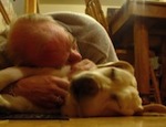 hond-knuffelen-tegen-stress