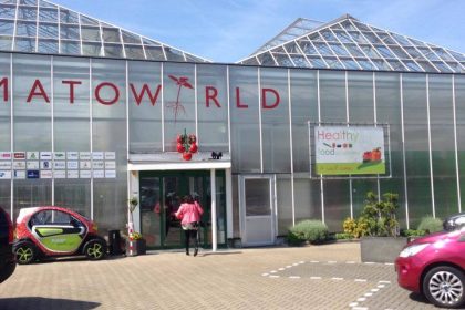 Opening healthy food academy in tomatoworld