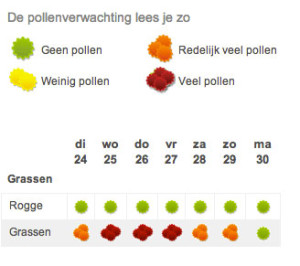 Pollenverwachting