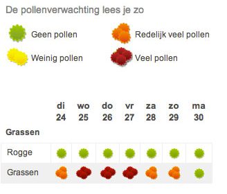 Pollenverwachting