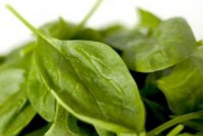 Spinazie, ook lekker als salade