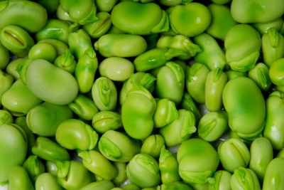 Tuinbonen Zijn Gezond. Bekijk Ons Heerlijke Recept Met Tuinbonen