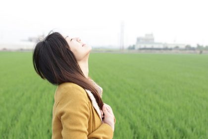 Heerlijk stress vrij leven en dromen - midden in een weiland