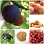 fruit-zaden-ongezond