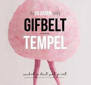 Nieuwe boek Detoxcoach, In 28 dagen van Gifbelt tot tempel