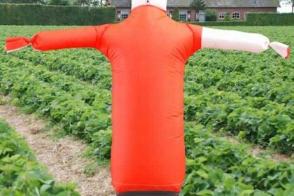 Vogelverschrikker in je eigen moestuin