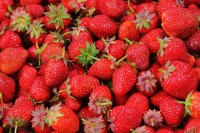 waarom zijn aardbeien gezond