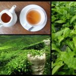 Hoe gezond is groene thee?