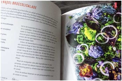 Glutenvrije, suikervrije en lactosevrije recepten