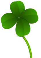 clover_png9