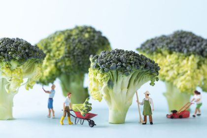 Vegetarisch / Vegan Koolhydraatarm dieet