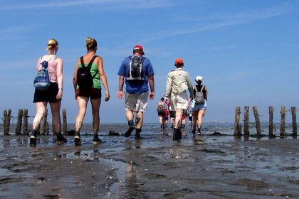 Originele uitjes met familie en vrienden, zoals wadlopen