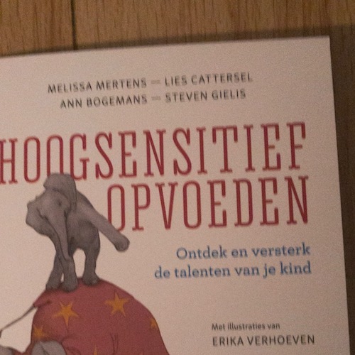 boek hoogsensitief opvoeden