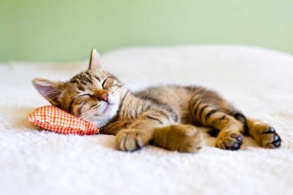 Relaxen kun je leren