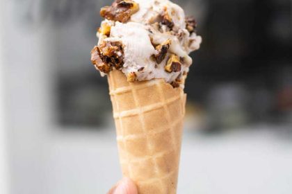 Vegan ijs in Amsterdam (dus ook lactosevrij)
