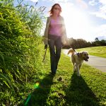 Fit en gezond door wandelen met je hond