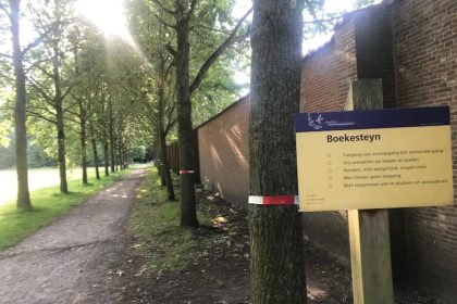 wat te doen bij de processierups - klachten - wandelen