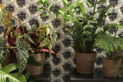 Gezonde tips voor in huis