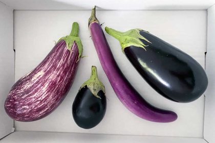 Aubergines gezond