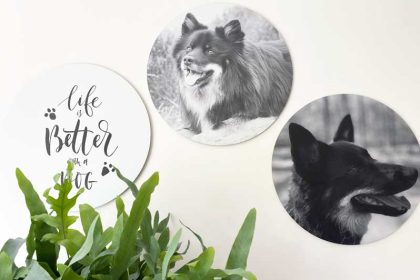 Honden gezond? Zie mijn honden op deze foto-muurcirkels!