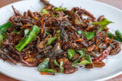 Insecten eten gezond?