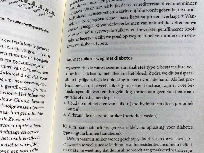 De Diabetes Code, wat helpt tegen diabetes type 2. Je leest het in dit boek.