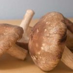 Shiitake paddenstoelen, gezond, lekker en heilzaam!
