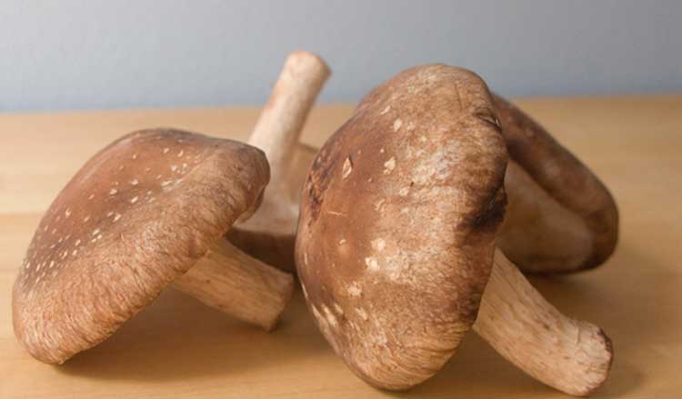 Gezonde werking shiitake paddenstoelen