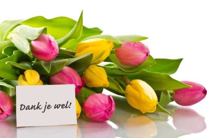 Dankbaarheid en gezondheid, inclusief dankbaarheidsoefeningen