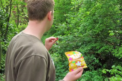 Gezonde snacks voor onderweg, zoals deze lekkere fruit bites van 5th Season