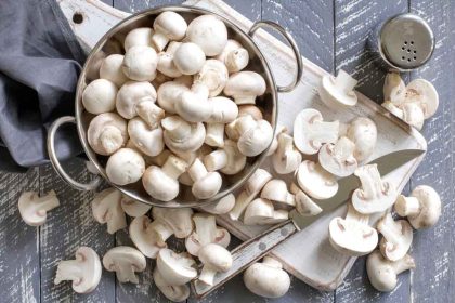 Hoe gezond zijn champignons?