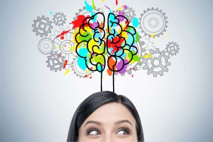 Wat is de insula?