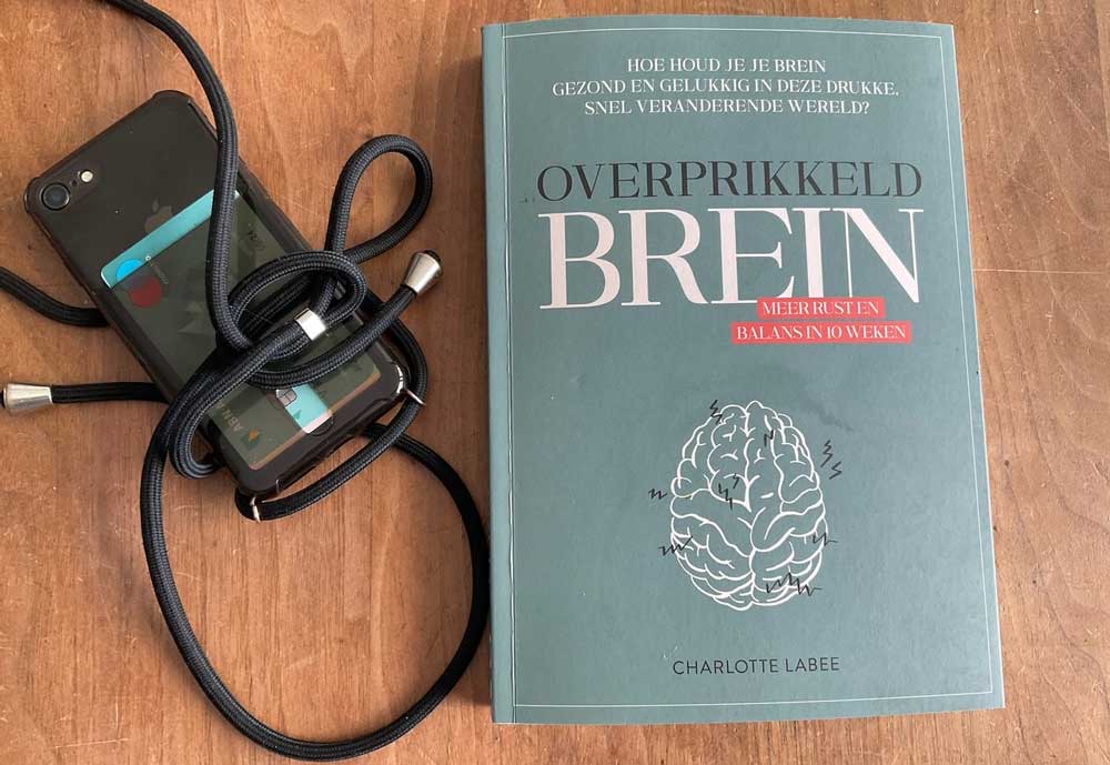 Overprikkeld Brein - boekreview