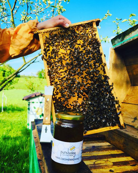 De imkerij van de honing