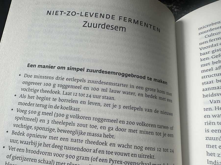 Zuurdesemroggebrood maken, boekfragment uit het boek Gefermenteerd. Lees de boekreview