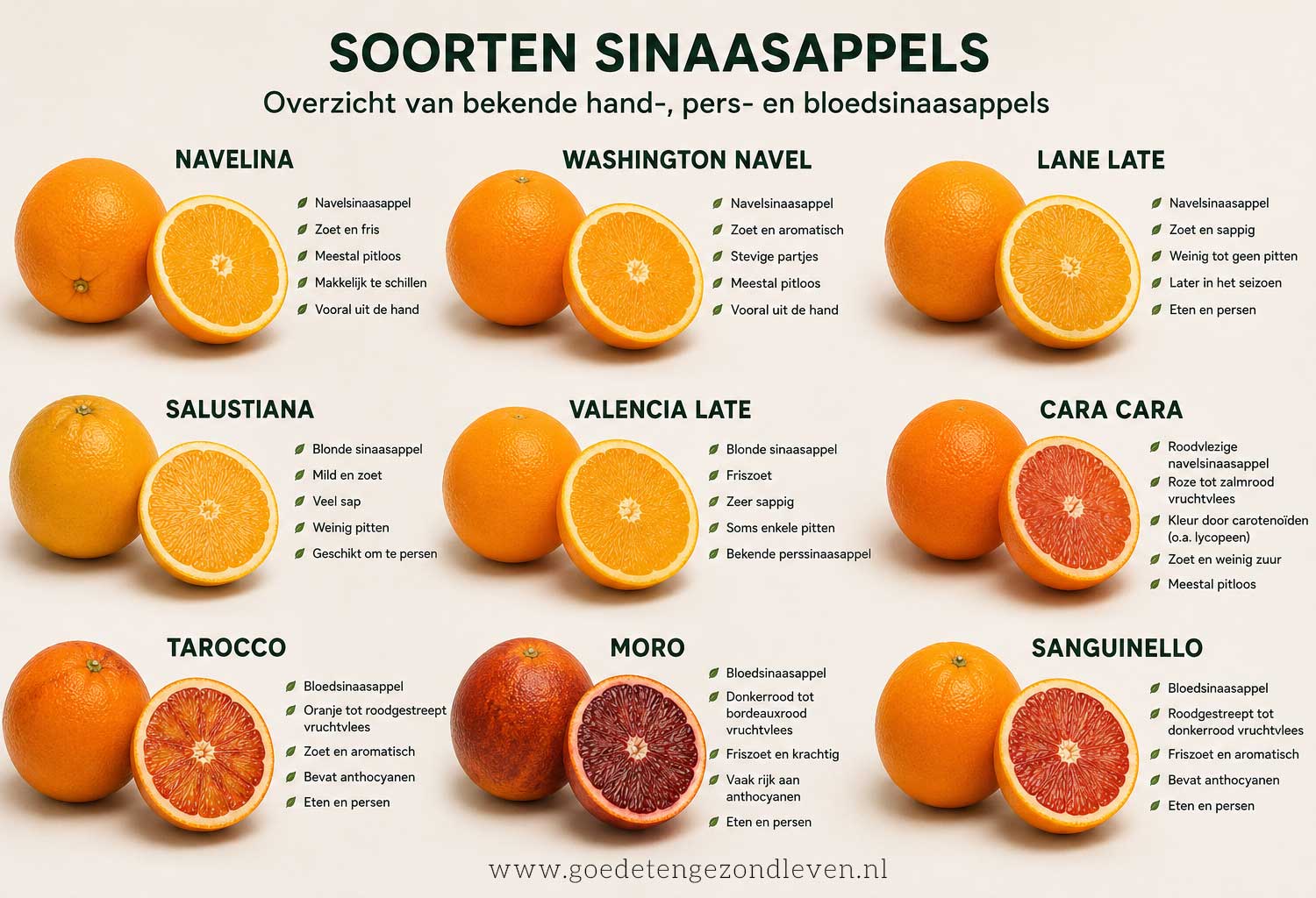 Soorten sinaasappels die in Nederland verkocht worden, in een overzicht.